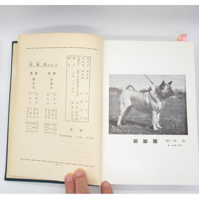 金剛系名犬写真大観 (1955年)|飯田 昭一 (著)