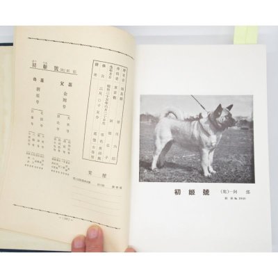 金剛系名犬写真大観 (1955年)｜飯田 昭一 (著)