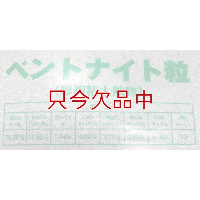 粒状ベントナイト｜モンモリロナイト