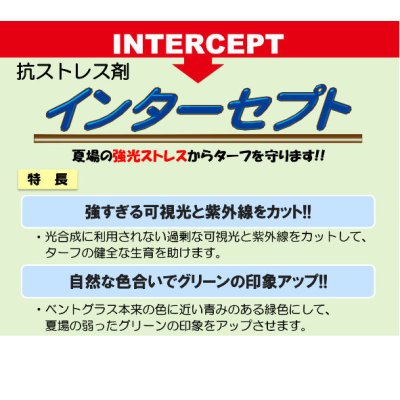 インターセプト｜抗強光ストレス剤【500ml】芝生用