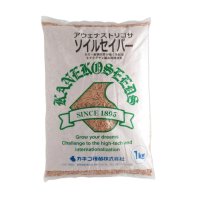 【緑肥種子】【牧草種子】ソイルセイバー｜アウェナストリゴサ【1kg】硬盤破砕｜線虫抑制｜防風｜カネコ種苗製