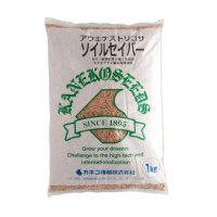 【緑肥種子】【牧草種子】ソイルセイバー｜アウェナストリゴサ【1kg】硬盤破砕｜線虫抑制｜防風｜カネコ種苗製