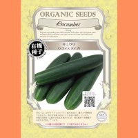 【有機種子】キュウリ スライス タイプ【50ml】Cucumber：Slicing