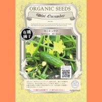 【有機種子】ミニキュウリ ピクルス ガーキン【50ml】Mini Cucumber : Gherkin