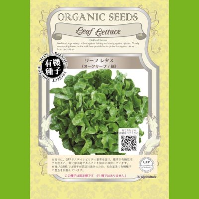 【有機種子】リーフレタス/オークリーフ/緑 【大袋20ml】Leaf Lettuce : Oakleaf Green