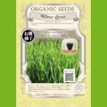 【有機種子】ウィートグラス/小麦/スムージー＆ジュース用【大袋400g】Wheat Grass : For smoothie and juice