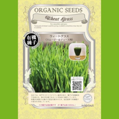 【有機種子】ウィートグラス/小麦/スムージー＆ジュース用【大袋20g】Wheat Grass : For smoothie and juice