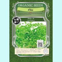 【有機種子】チアシード/スプラウト【大袋350g】Chia seed:Sprout