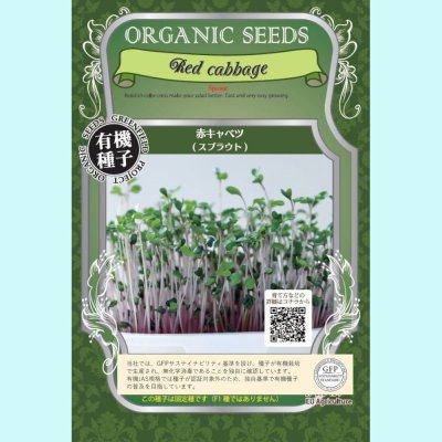  【有機種子】赤キャベツ  / スプラウト 【大袋360g】Red cabbage : Sprout