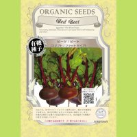 【有機種子】ビーツ/ビート エジプト/フラットタイプ【大袋1dl】Red Beet : Egyptian / Flat Round Type