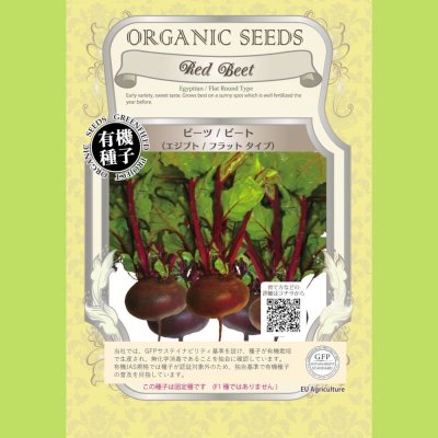 【有機種子】ビーツ/ビート エジプト/フラットタイプ【大袋1dl】Red Beet : Egyptian / Flat Round Type