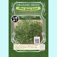 【有機種子】大葉クレス / こしょう草  /スプラウト 【大袋300g】Cress Large leaved : Sprout