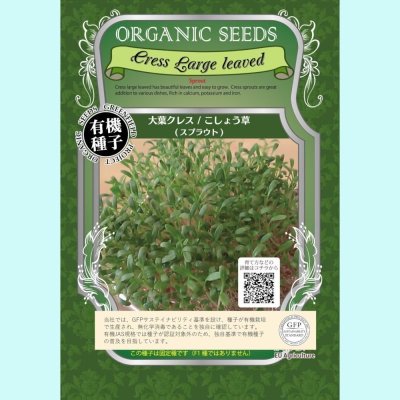 【有機種子】大葉クレス / こしょう草  /スプラウト 【大袋350g】　Cress Large leaved : Sprout