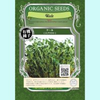 【有機種子】ケール/スプラウト【大袋250g】Kale Sprout