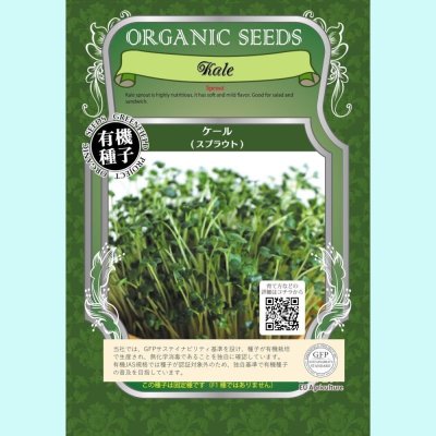 【有機種子】ケール/スプラウト【大袋330g】　Kale Sprout