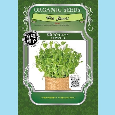 【有機種子】青えんどう豆/豆苗 /スプラウト【大袋400g】 Pea Shoots