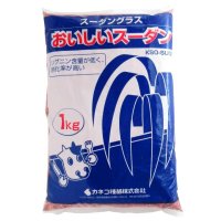 おいしいスーダン【牧草種子】【1kg】早生種｜カネコ種苗製