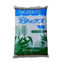 牧草用スダックス【牧草種子】早生種【1kg】動物園の飼料として人気｜カネコ種苗製