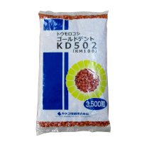 【新品種・牧草種子】ゴールドデント｜KD502[RM100] 3500粒/約500平方ｍ分｜多収量のオールラウンド型早生品種｜カネコ種苗製