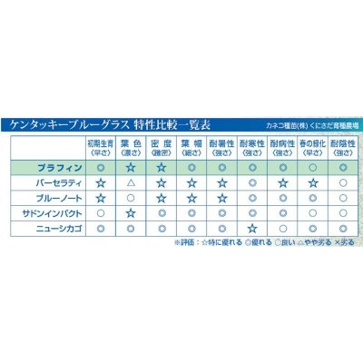 ケンタッキーブルーグラス｜プラフィン