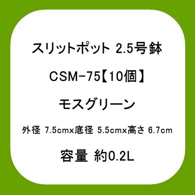 スリットポット 2.5号鉢 CSM-75