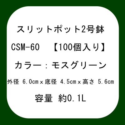 スリットポット 2号鉢 CSM-60【100個】