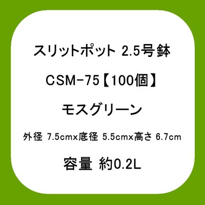 スリットポット 2.5号鉢 CSM-75【100個】