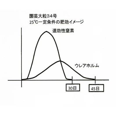 サンアグロ園芸大粒34号|高度化成10-12-10+苦土2.0【20kg】緩効性大粒化成
