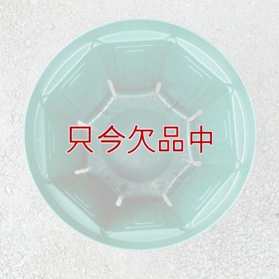 スリットポット 9号鉢 CSM-270