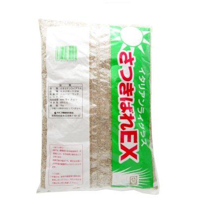 イタリアンライグラス|さつきばれEX