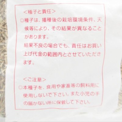 イタリアンライグラス|さつきばれEX