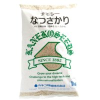 【牧草種子】チモシー｜なつさかり（晩生種）【1kg】耐寒性に優れる多年生牧草｜PVP登録品種｜カネコ種苗製