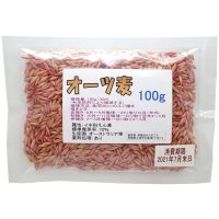 オーツ麦｜えん麦種子｜家庭園芸・実験栽培用【100g】【送料無料】【時間指定不可】