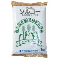 [値下げ]【飼料作物】ソルゴー【1kg】早生種｜カネコ種苗製