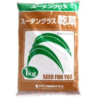 【牧草種子】スーダングラス乾草｜早生種【1kg】カネコ種苗製