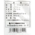 リードカナリーグラス｜パラトン