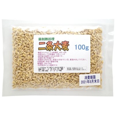 二条大麦｜大麦種子｜家庭園芸・実験栽培用【100g】【送料無料】【時間指定不可】