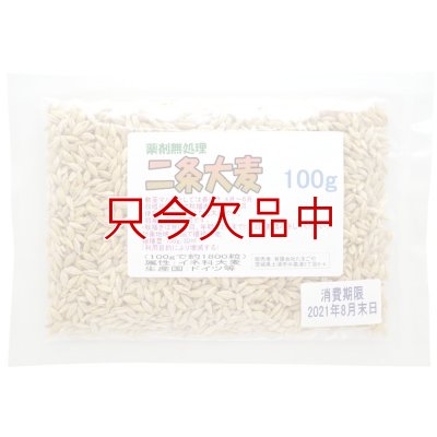 二条大麦