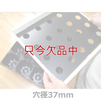画像14: 【連結ポットトレー用】SSポッターSS35（20穴）【送料無料】