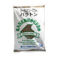 リードカナリーグラス｜パラトン