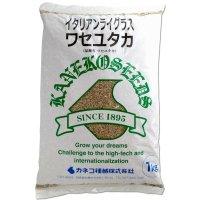 【牧草種子】イタリアンライグラス｜ワセユタカ｜早生種【1kg】カネコ種苗製