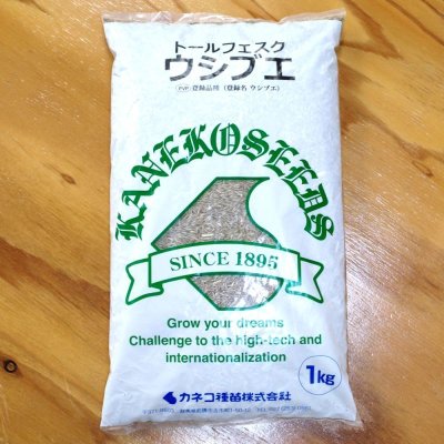 【牧草種子】トールフェスク｜ウシブエ【中生種】カネコ種苗製