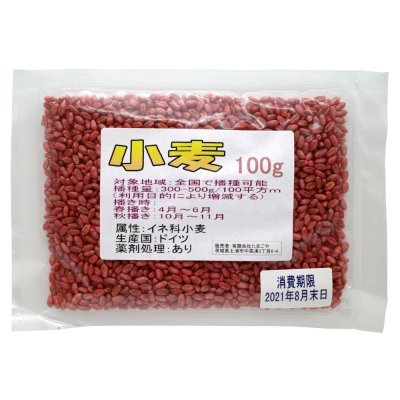 小麦種子｜緑肥・敷き藁｜家庭園芸・実験栽培用【100g】【送料無料】【時間指定不可】