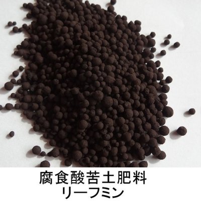 【粒状】リーフミン【20kg】腐植酸苦土肥料