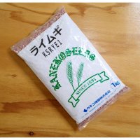 【牧草種子】ライ麦｜ライムギ【1kg】カネコ種苗製