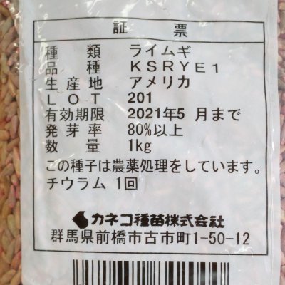 ライ麦|ライムギ