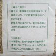 イタリアンライグラス｜あかつき