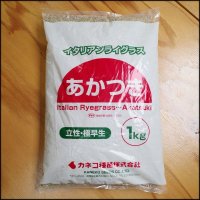 【牧草種子】イタリアンライグラス｜あかつき【22.5kg】極早生種｜短期利用型飼料作物用｜PVP登録品種｜カネコ種苗製