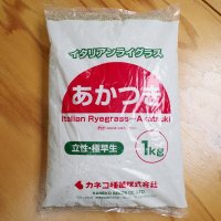 【牧草種子】イタリアンライグラス｜あかつき【1kg】極早生種｜短期利用型飼料作物用｜PVP登録品種｜カネコ種苗製