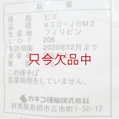 グリーンミレット｜栽培ひえ